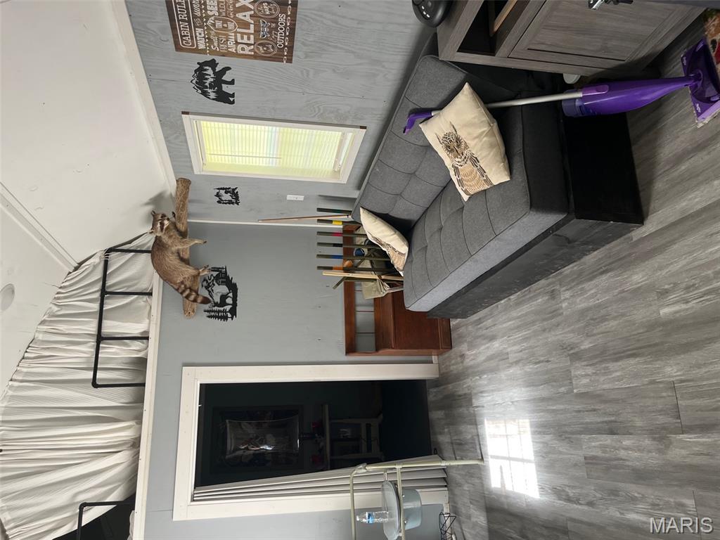 0 Wayne 443 Ellsinore, MO 63937 - Photo 27 of 40