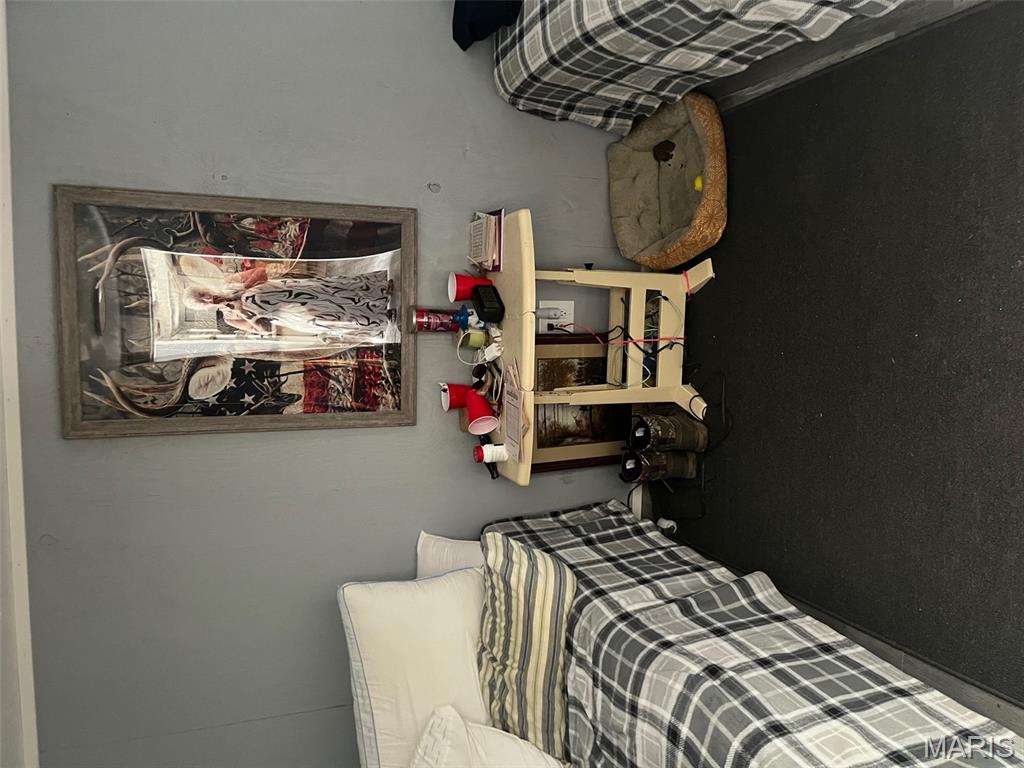 0 Wayne 443 Ellsinore, MO 63937 - Photo 29 of 40