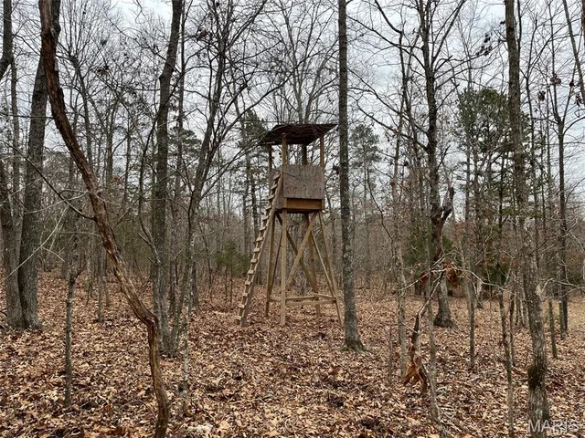 $195,000 | 0 Wayne 443, Ellsinore, MO 63937