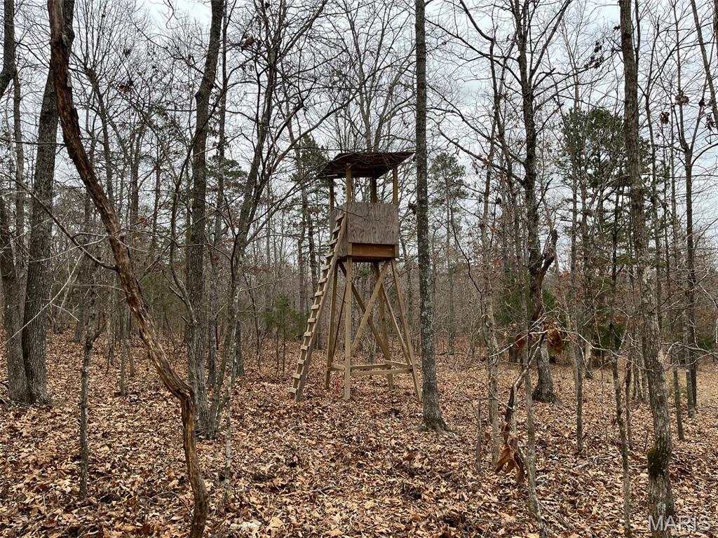 0 Wayne 443 Ellsinore, MO 63937 - Photo 3 of 40