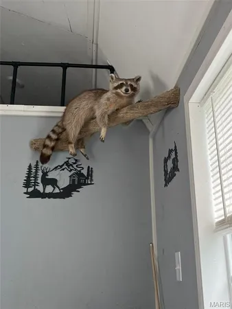 $185,000 | 0 Wayne 443, Mill Spring, MO 63952