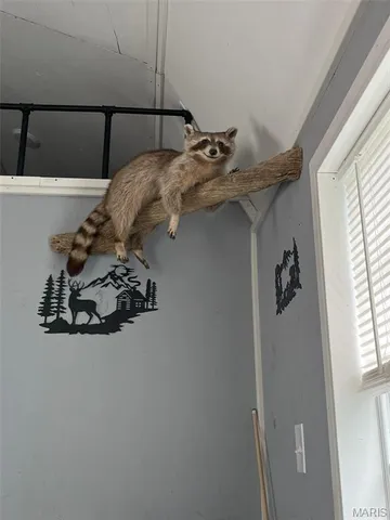 $195,000 | 0 Wayne 443, Ellsinore, MO 63937