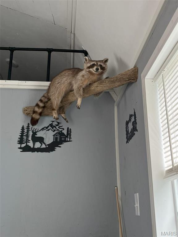 0 Wayne 443 Ellsinore, MO 63937 - Photo 33 of 40