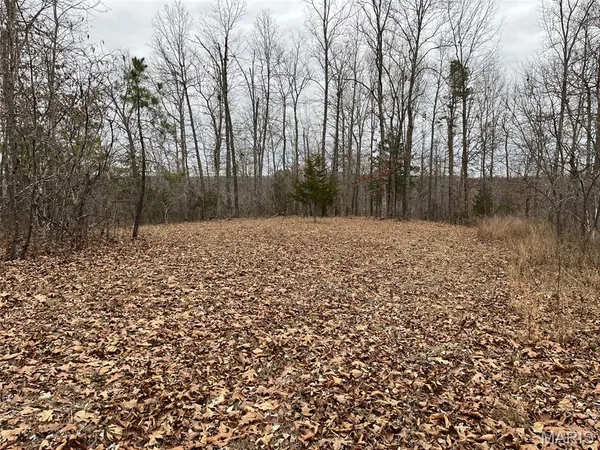 $185,000 | 0 Wayne 443, Mill Spring, MO 63952