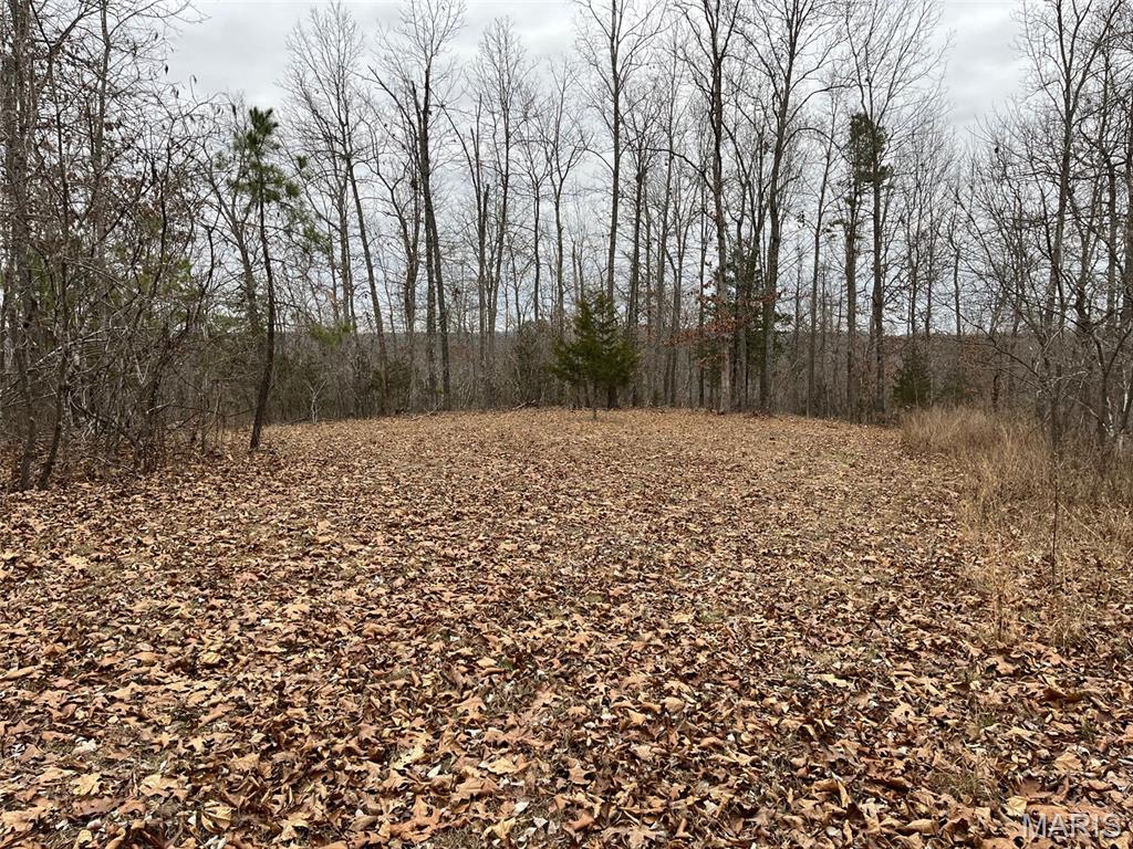 0 Wayne 443 Ellsinore, MO 63937 - Photo 8 of 40