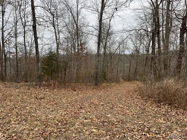 $185,000 | 0 Wayne 443, Mill Spring, MO 63952