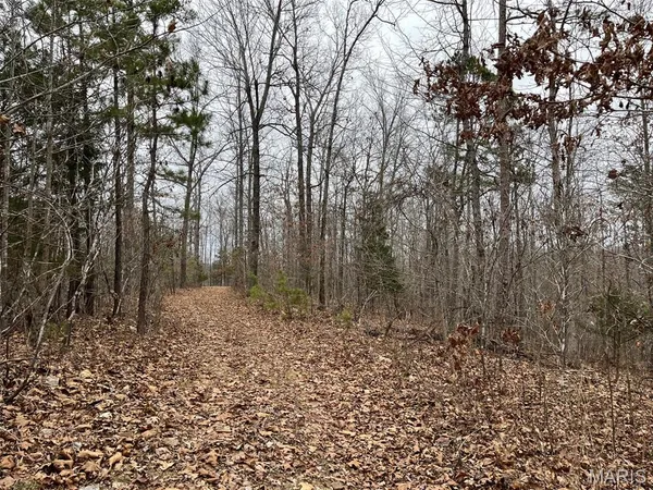 $185,000 | 0 Wayne 443, Mill Spring, MO 63952