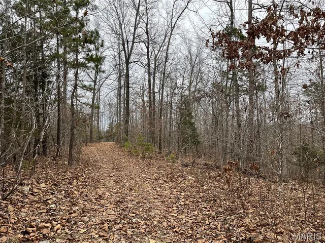 $195,000 | 0 Wayne 443, Ellsinore, MO 63937