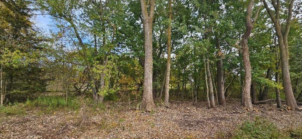 0 Lemon Road Bancroft, MI 48414 - Photo 16 of 16 Gallery Image 16