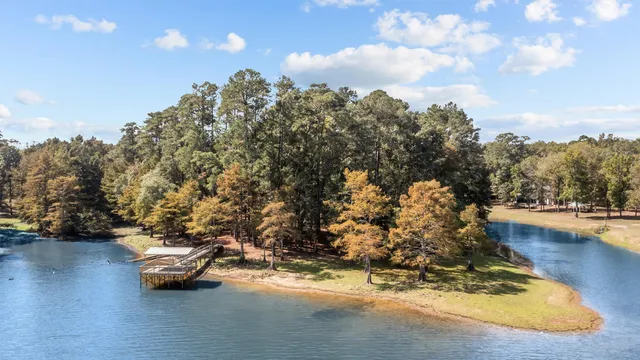 a view of a yard with a slide
