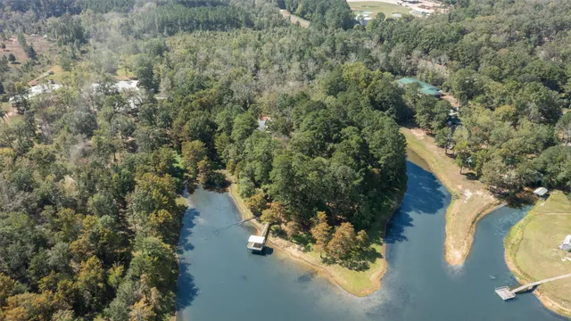 a view of a garden with a tree