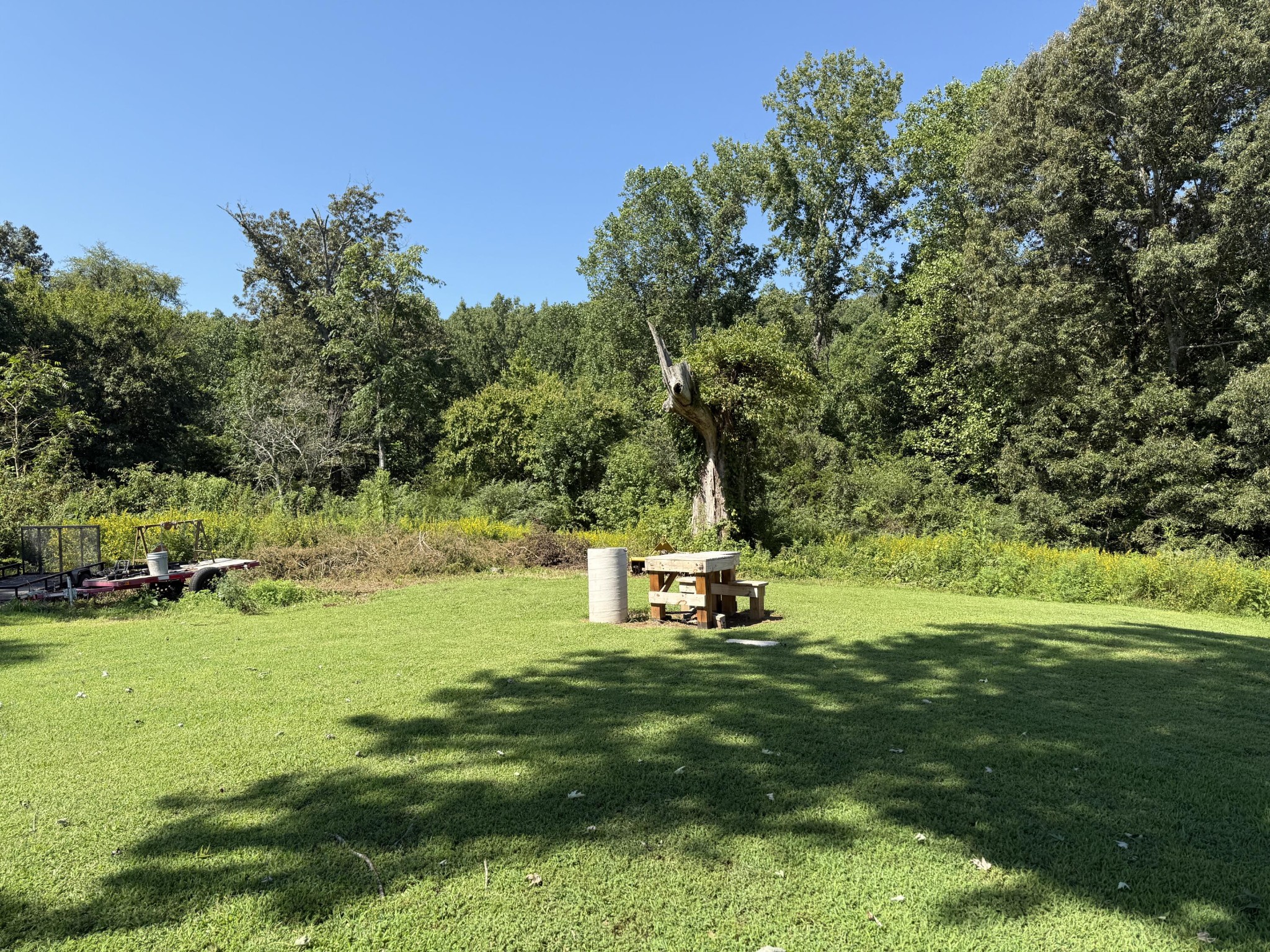 975 Welch Lane Dunlap, TN 37327 - Photo 14 of 22 a view of a park with large trees