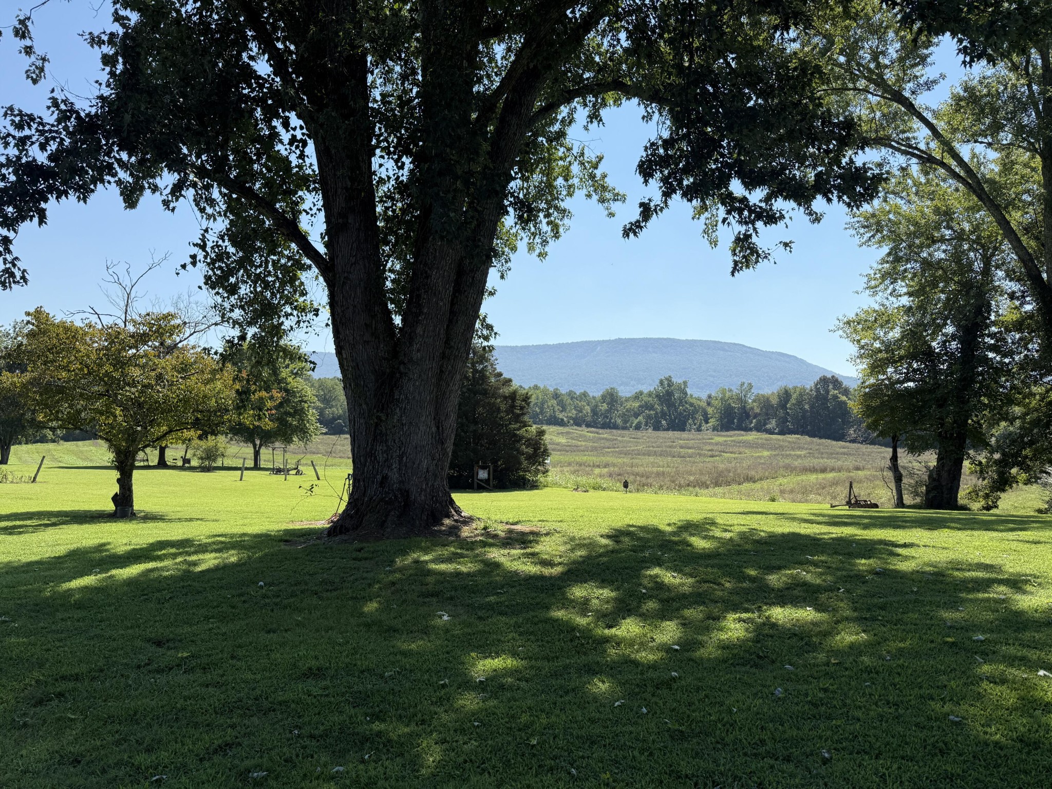 975 Welch Lane Dunlap, TN 37327 - Photo 15 of 22 a view of swimming pool with a yard