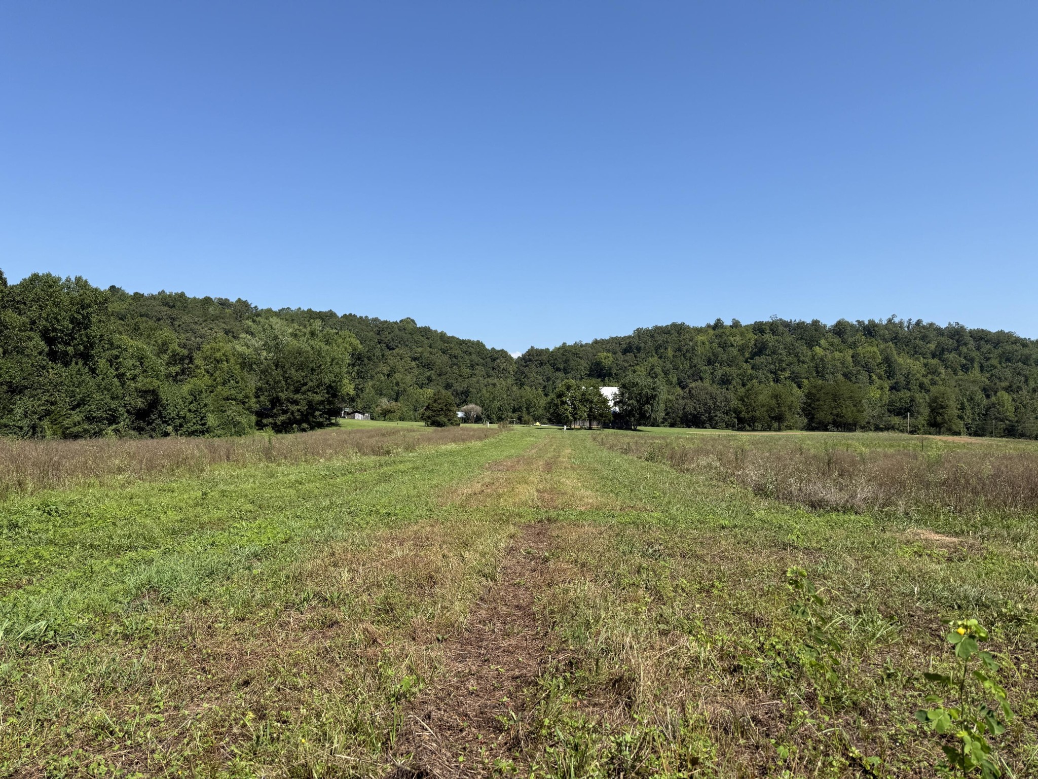 975 Welch Lane Dunlap, TN 37327 - Photo 17 of 22 a view of an outdoor space and a yard