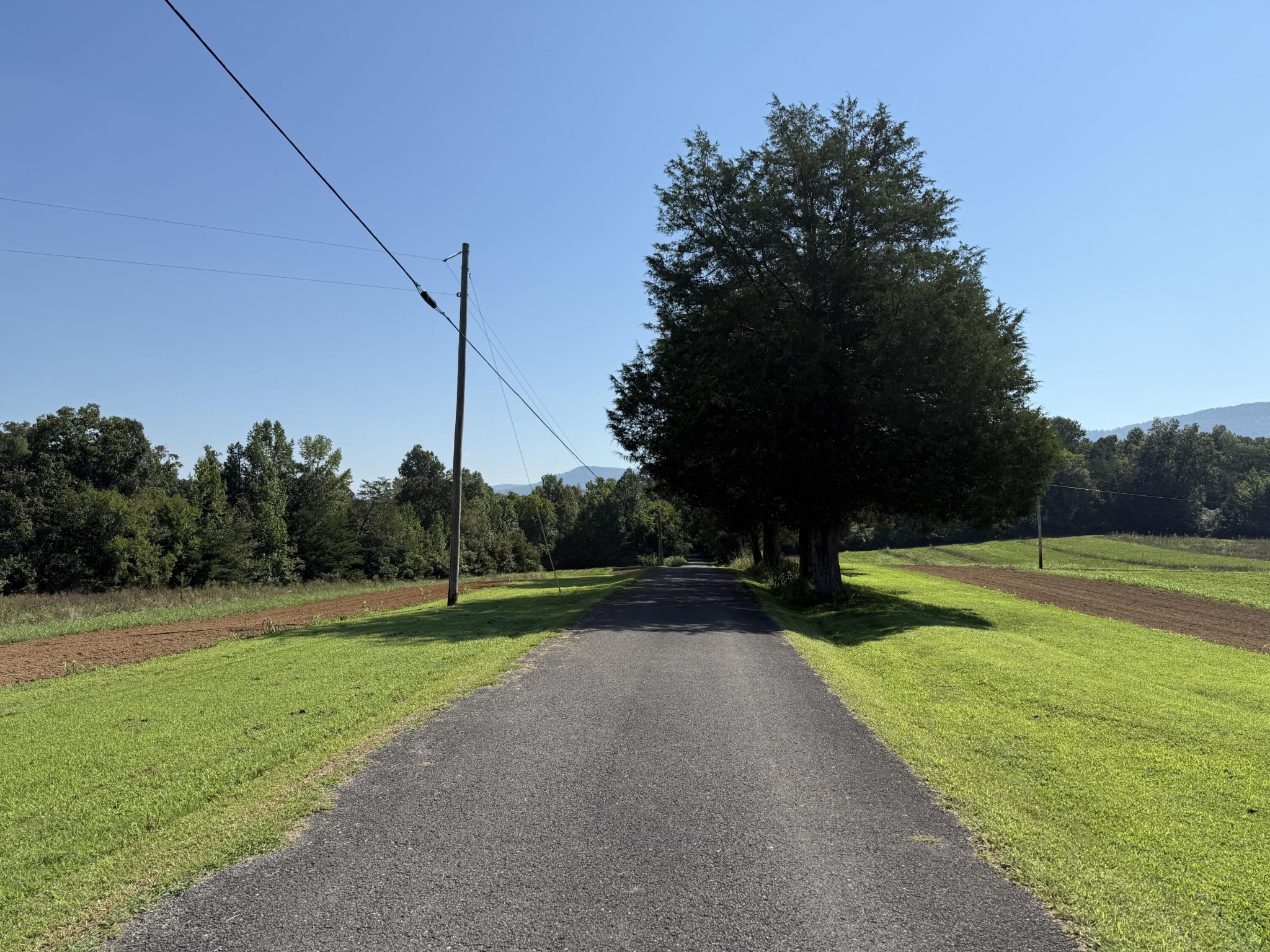 975 Welch Lane Dunlap, TN 37327 - Photo 20 of 22 a view of a park