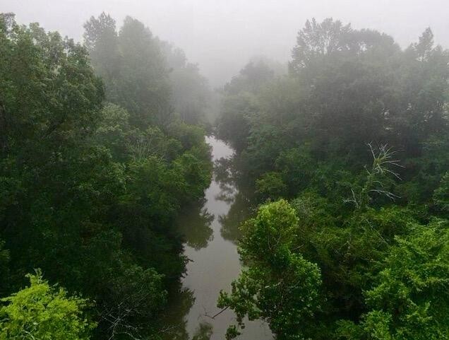 975 Welch Lane Dunlap, TN 37327 - Photo 21 of 22 a view of lake with green space