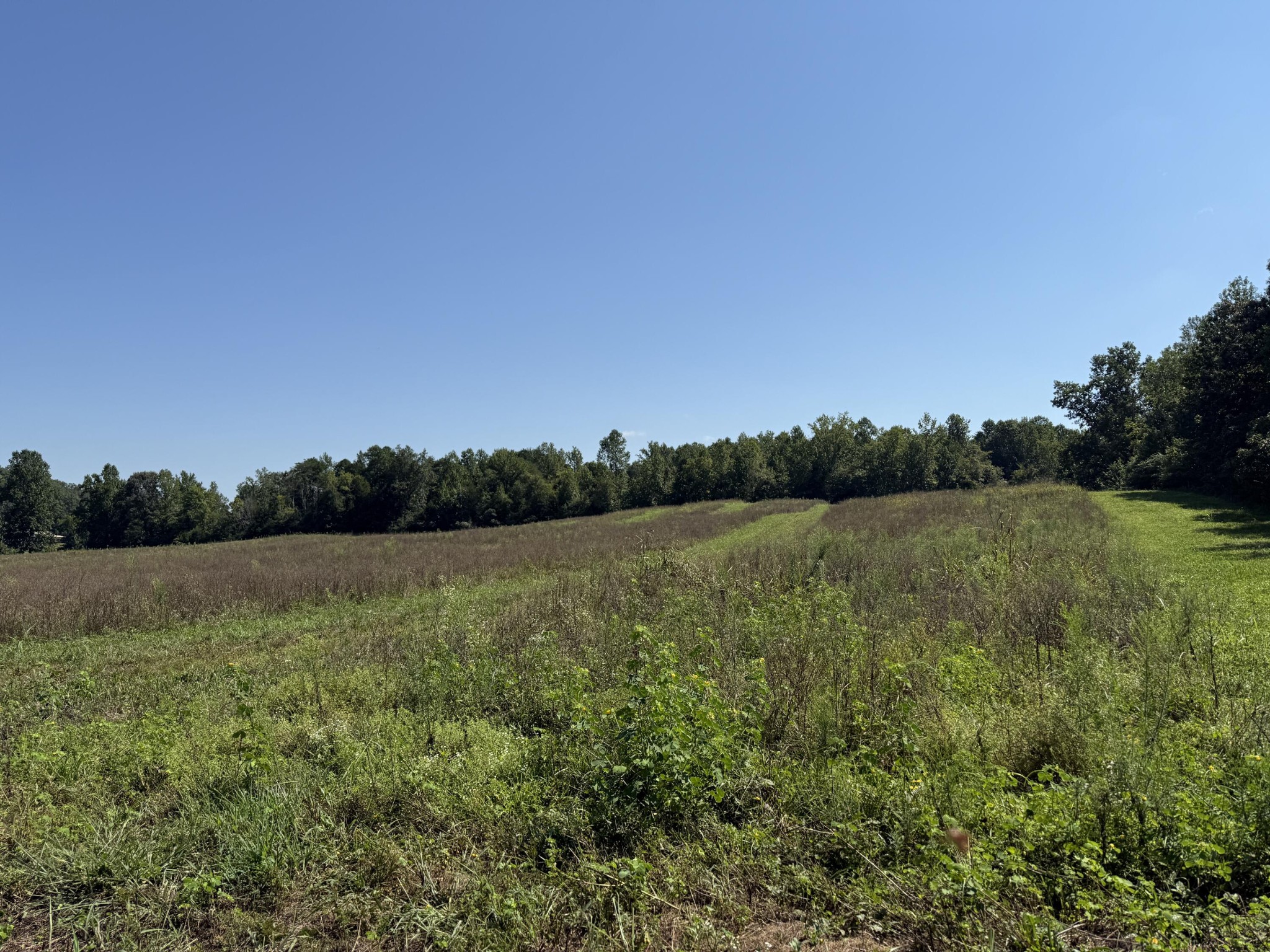 975 Welch Lane Dunlap, TN 37327 - Photo 7 of 22 a view of lake with mountain