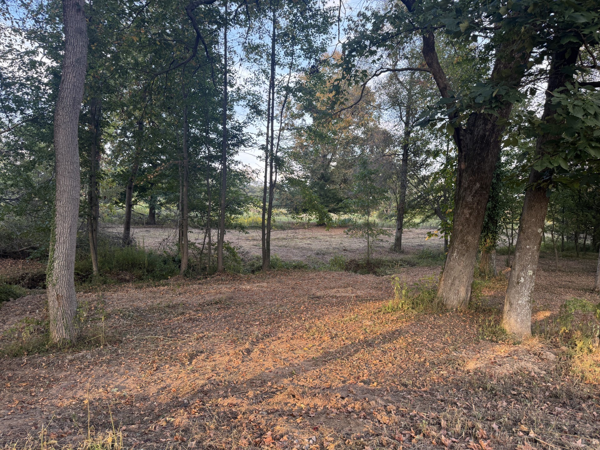 418 Creekmore Road Cottontown, TN 37048 - Photo 44 of 60