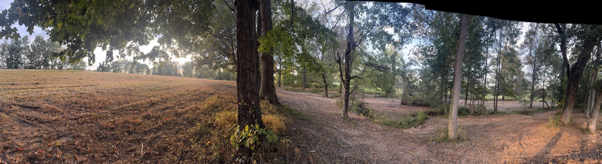 418 Creekmore Road Cottontown, TN 37048 - Photo 45 of 60 a view of a forest with trees