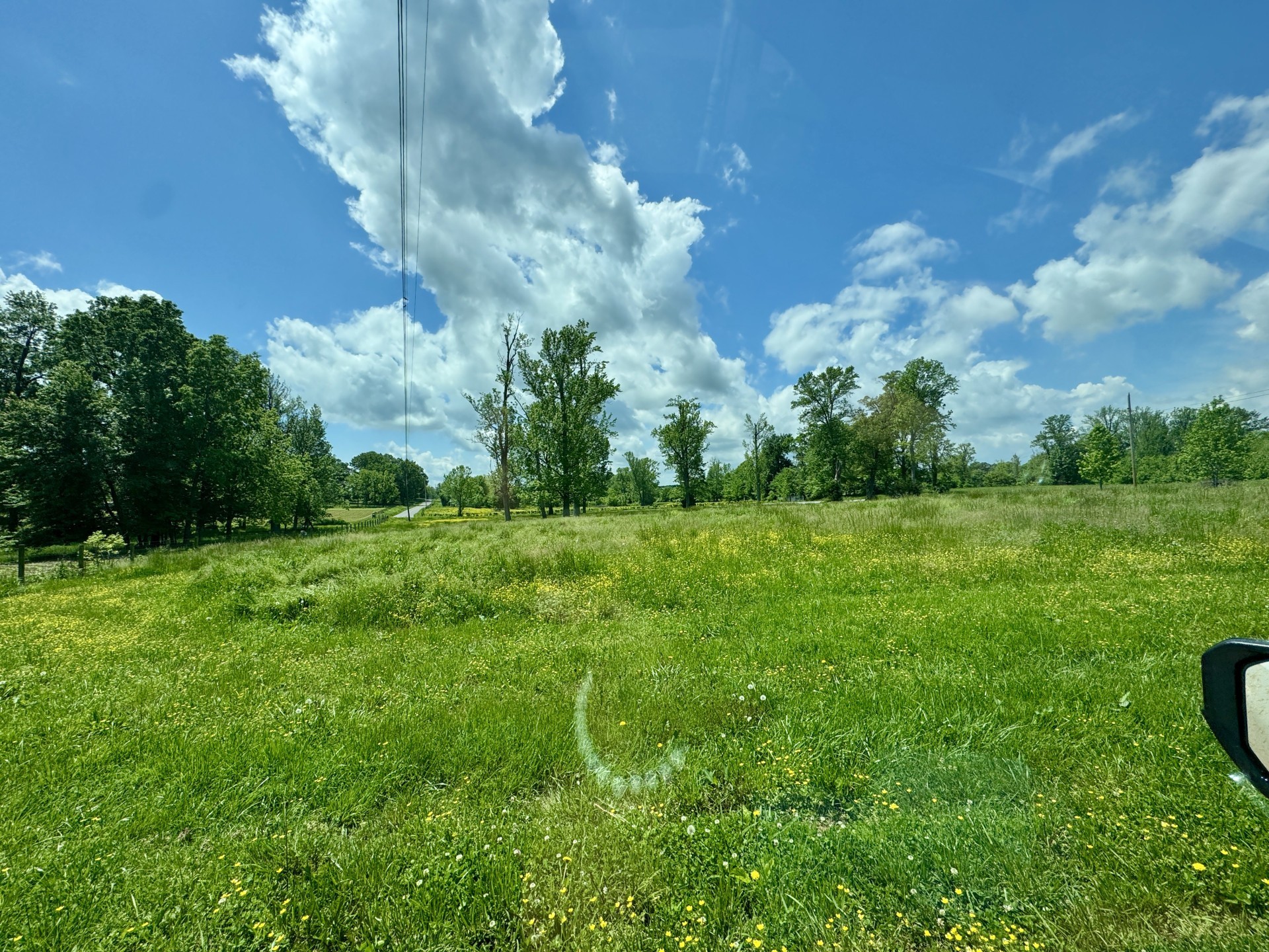 418 Creekmore Road Cottontown, TN 37048 - Photo 49 of 60 a view of a big yard