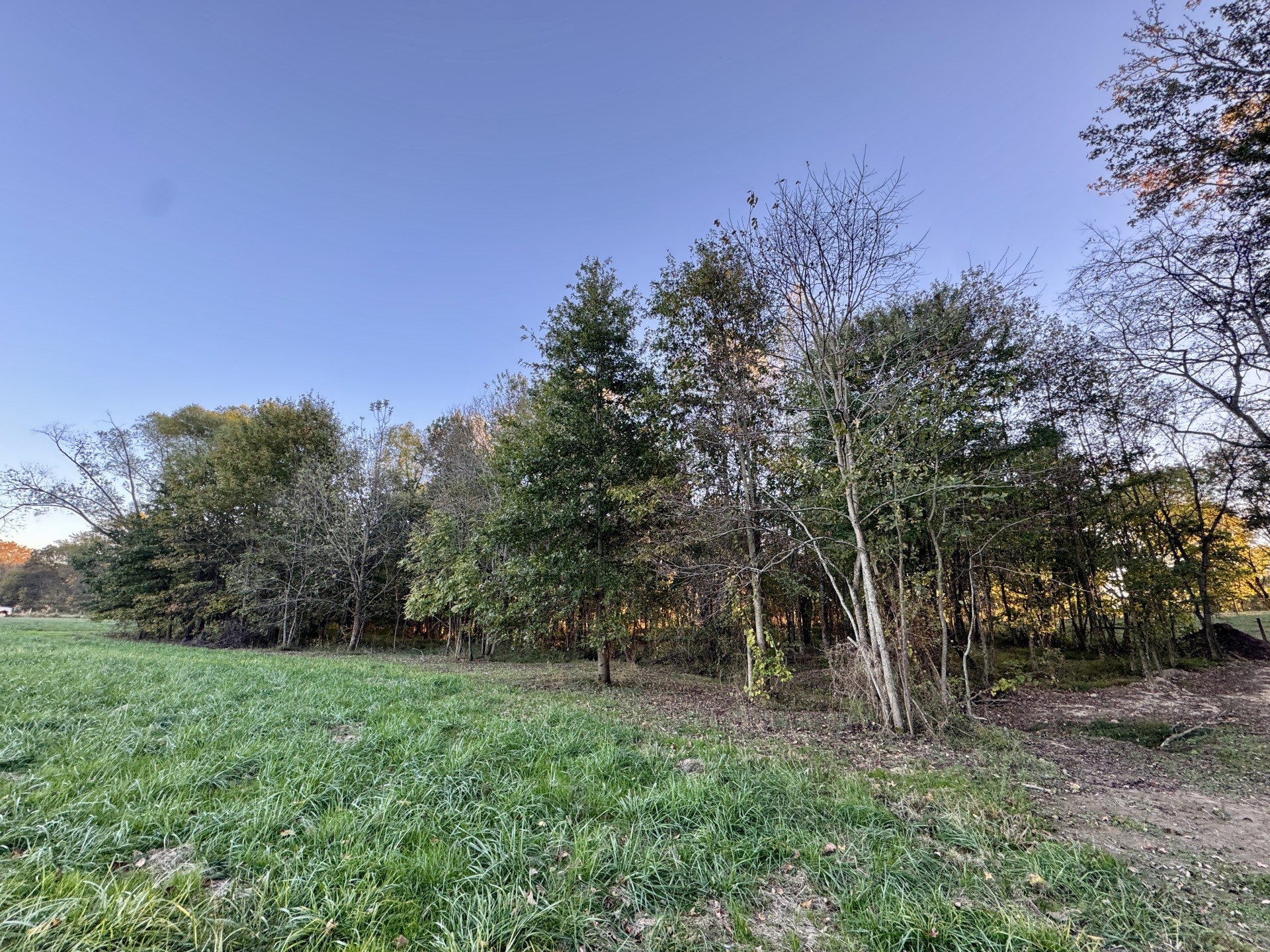 418 Creekmore Road Cottontown, TN 37048 - Photo 50 of 60 a view of a forest