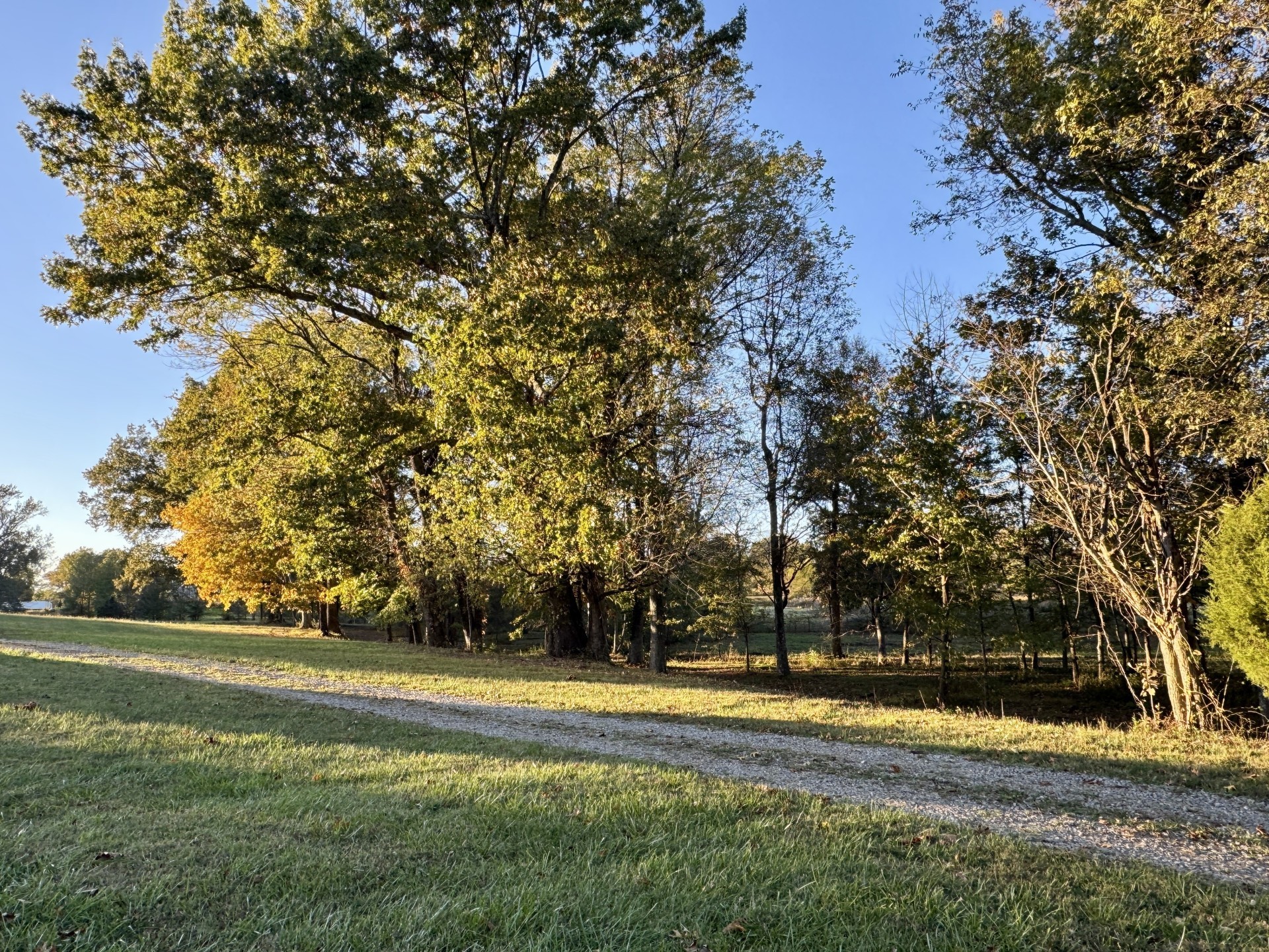 418 Creekmore Road Cottontown, TN 37048 - Photo 55 of 60 a view of a yard