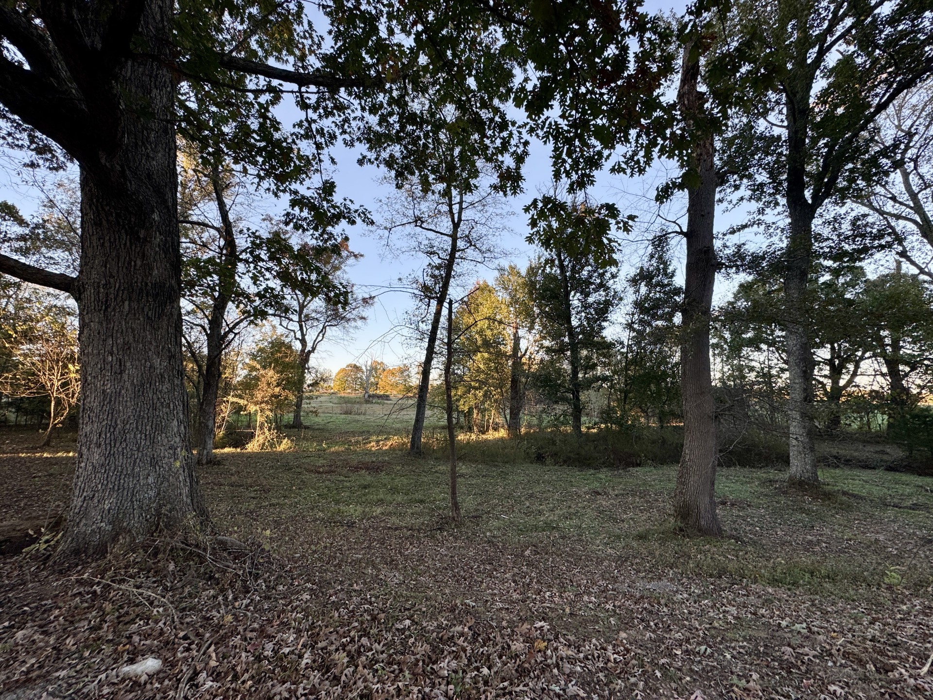 418 Creekmore Road Cottontown, TN 37048 - Photo 56 of 60 a view of outdoor space with trees