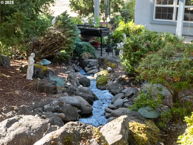 a view of a tree with a yard