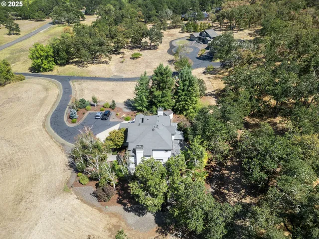 an aerial view of a house with a yard and lake view