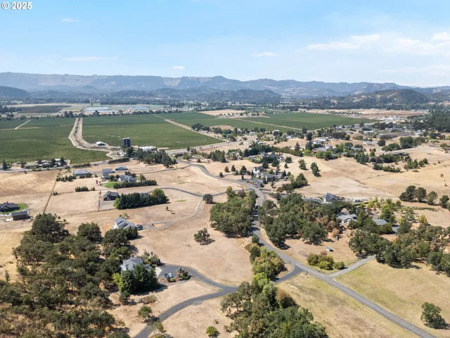 a view of city and mountain
