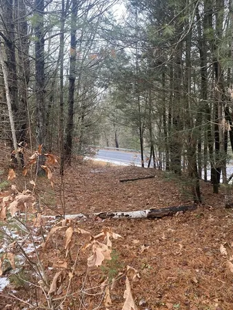 a view of outdoor space with trees