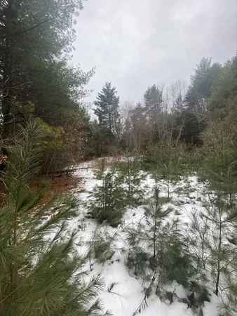 a view of a lake with mountain