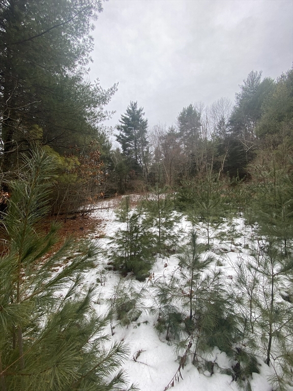 1-2 Wales Road Brimfield, MA 01010 - Photo 4 of 10 a view of a lake with mountain