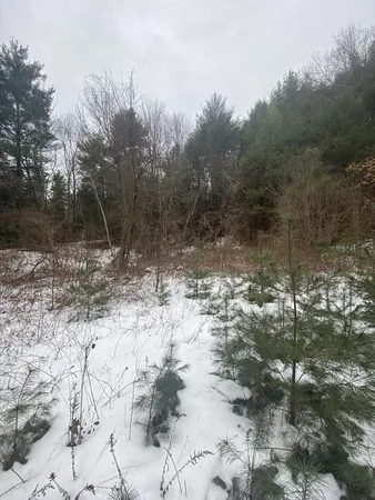 a view of a road with a yard