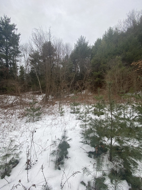 1-2 Wales Road Brimfield, MA 01010 - Photo 5 of 10 a view of a road with a yard