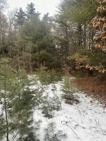 a view of a yard with a tree