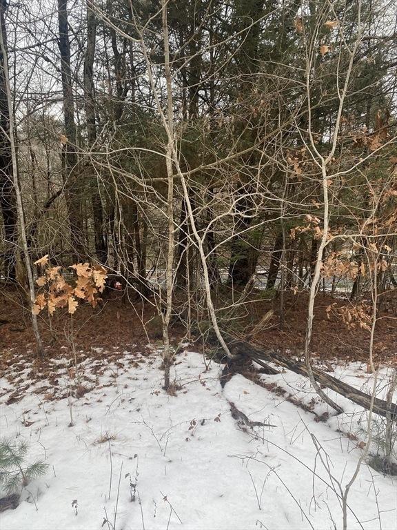 1-2 Wales Road Brimfield, MA 01010 - Photo 7 of 10 a backyard of a house