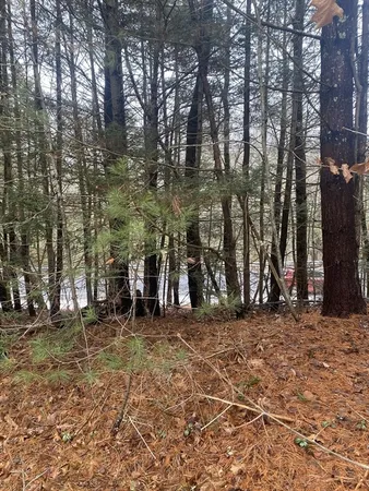 a view of outdoor space with trees