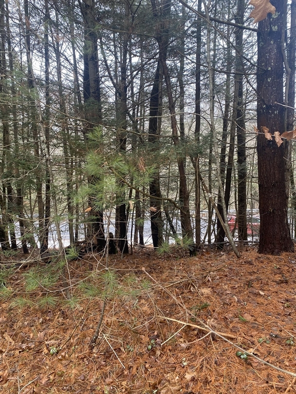 1-2 Wales Road Brimfield, MA 01010 - Photo 8 of 10 a view of outdoor space with trees