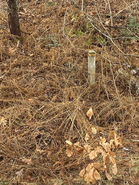 1-2 Wales Road Brimfield, MA 01010 - Photo 9 of 10