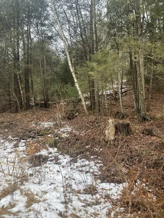 $375,000 | 1-2 Wales Road, Brimfield, MA 01010