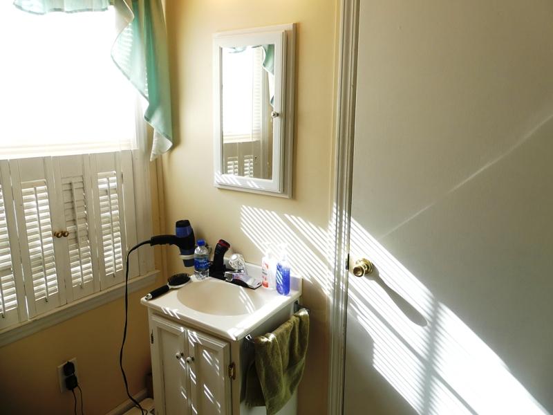 333 Blue Ridge Yacht Club Road Bassett, VA 24055 - Photo 22 of 37 a bathroom with a sink and a window