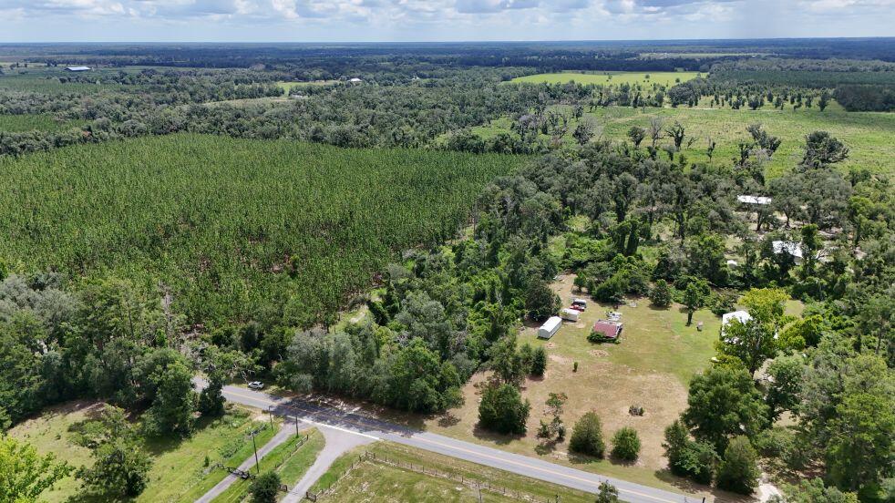 0 185th Road Live Oak, FL 32060 - Photo 16 of 22 17