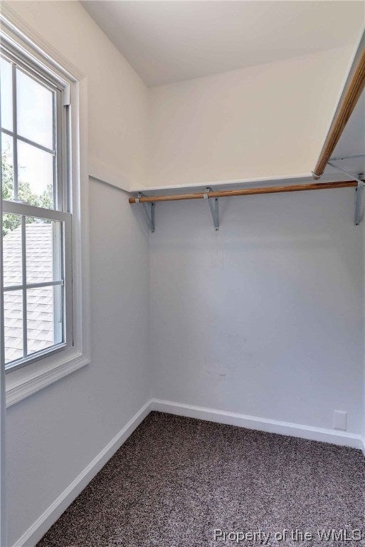 124 Rondane Place Williamsburg, VA 23188 - Photo 28 of 36 Gallery Image 28