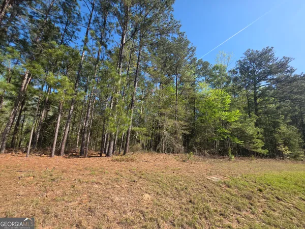 $15,900 | Tract A Ga Highway 102, Mitchell, GA 30820