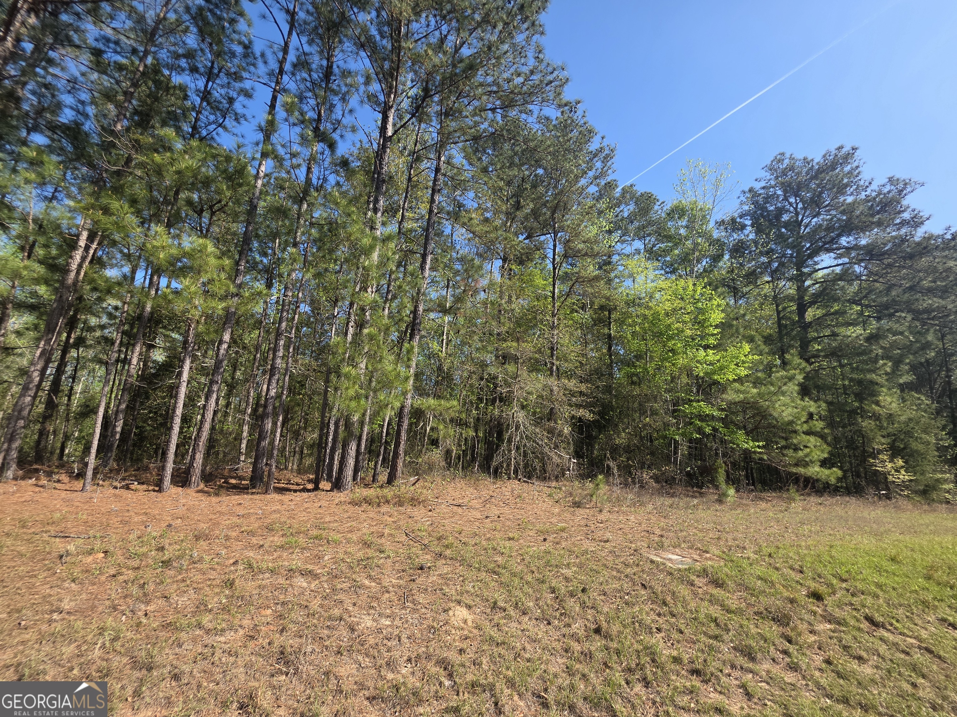 Tract A Ga Highway 102 Mitchell, GA 30820 - Photo 1 of 1 a view of outdoor space and yard