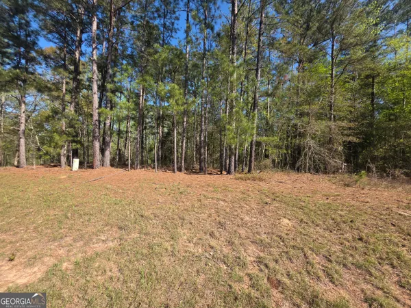 $15,900 | Tract A Ga Highway 102, Mitchell, GA 30820
