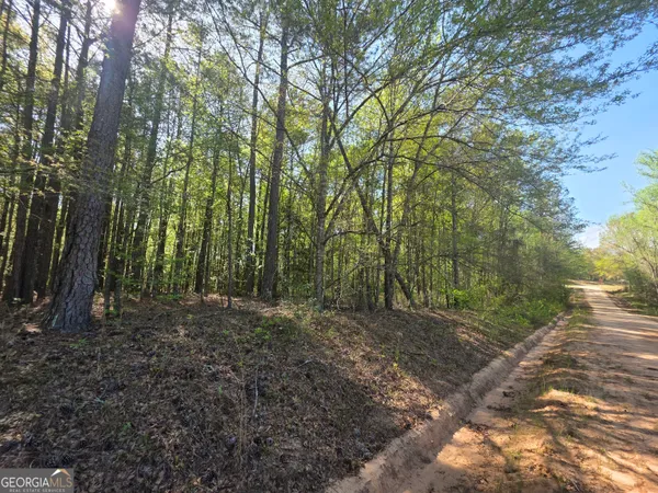 $15,900 | Tract A Ga Highway 102, Mitchell, GA 30820
