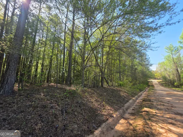 $15,900 | Tract A Ga Highway 102, Mitchell, GA 30820