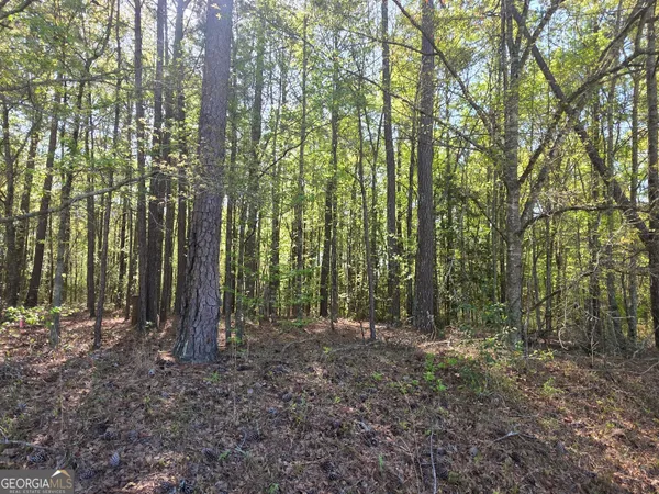 $15,900 | Tract A Ga Highway 102, Mitchell, GA 30820